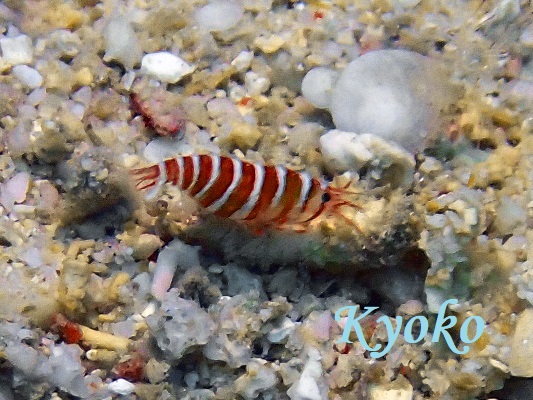 �J�U�������T�L�G�r