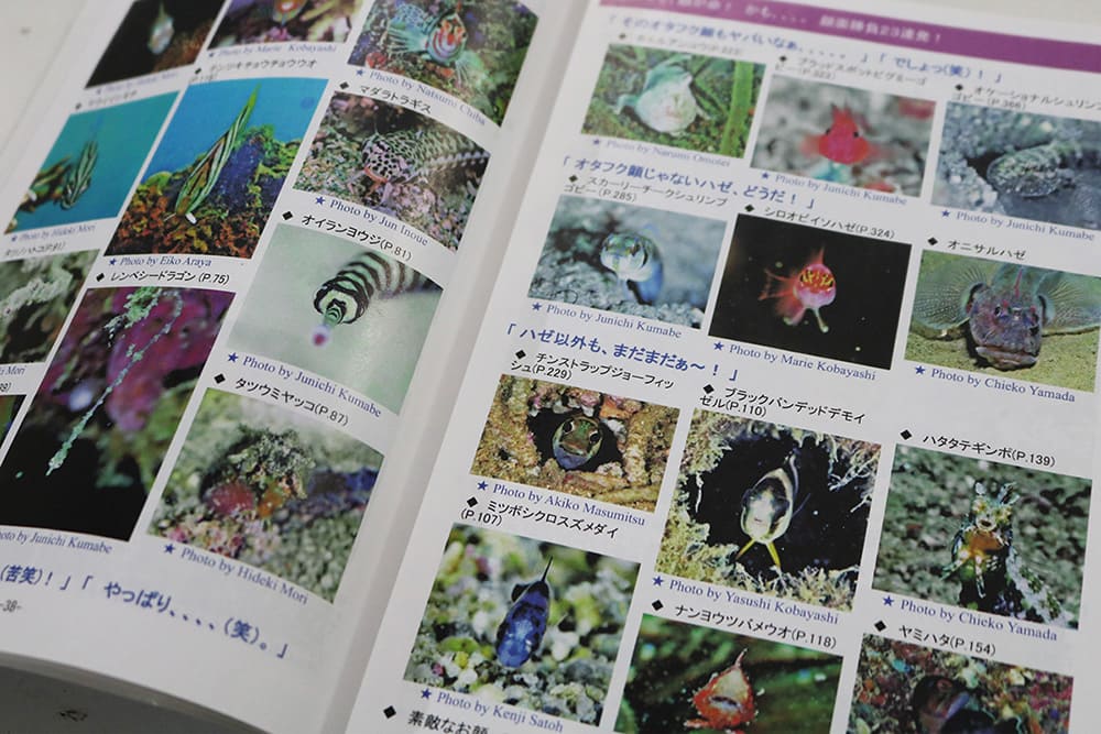 お魚図鑑日本語版　セブの子供たちに、自分達の海の凄さを伝えたい！　セブのお魚図鑑英語版を寄付するプロジェクト！