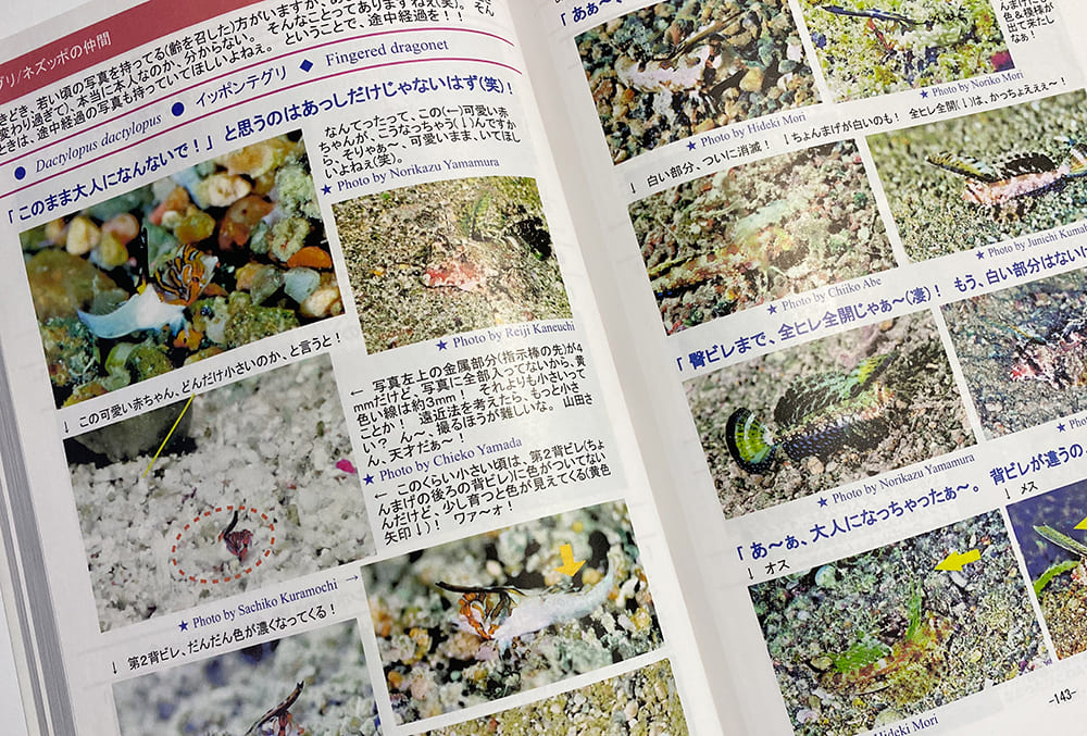 お魚図鑑日本語版　セブの子供たちに、自分達の海の凄さを伝えたい！　セブのお魚図鑑英語版を寄付するプロジェクト！