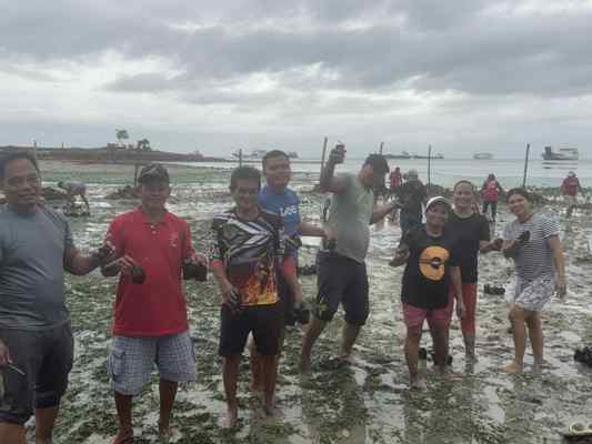 第1回リロアンマングローブ入植プロジェクト