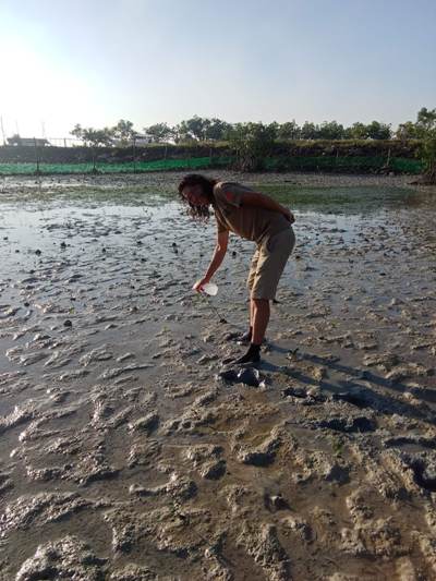 第1回リロアンマングローブ入植プロジェクト