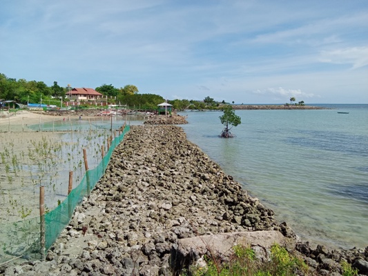 第1回リロアンマングローブ入植プロジェクト