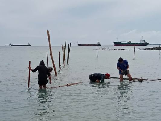 第1回リロアンマングローブ入植プロジェクト