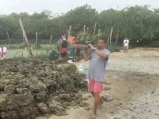 第1回リロアンマングローブ入植プロジェクト