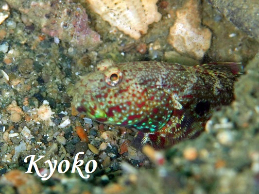 �^�J�m�n�n�[